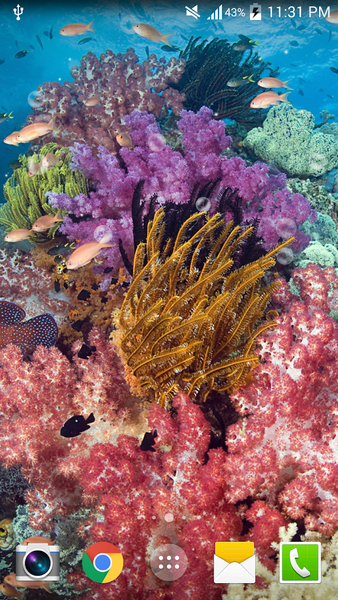 Aquarium Undersea wallpaper - Image screenshot of android app