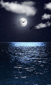 برنامه Moonlight HD Wallpapers-Moon Wallpaper Background - دانلود | کافه  بازار