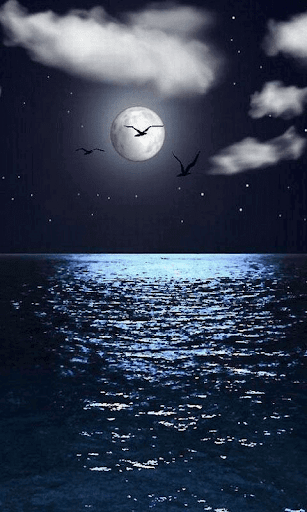 Moonlight HD Wallpapers-Moon Wallpaper Background - Image screenshot of android app