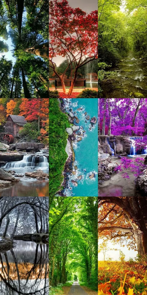 Nature Escape HD Wallpapers - Image screenshot of android app