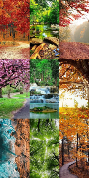Nature Escape HD Wallpapers - Image screenshot of android app