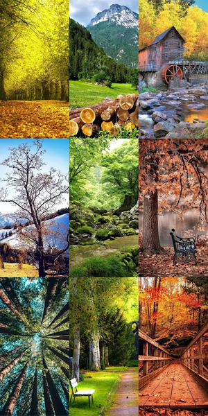 Nature Escape HD Wallpapers - Image screenshot of android app