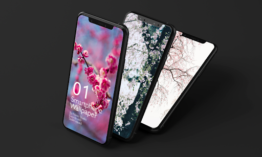 HD True Wallpaper 📱 Sakura 📱 2021 - Image screenshot of android app