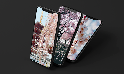 HD True Wallpaper 📱 Sakura 📱 2021 - Image screenshot of android app