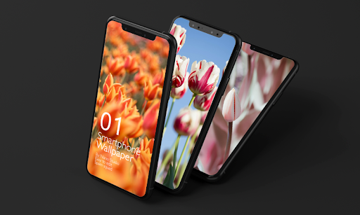HD True Wallpaper 📱 Tulip 📱 2021 - Image screenshot of android app