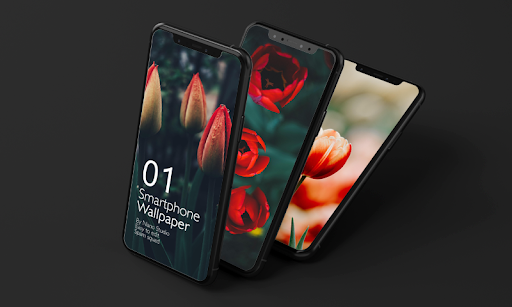 HD True Wallpaper 📱 Tulip 📱 2021 - Image screenshot of android app