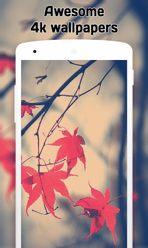 Autumn Wallpaper (4k) - Image screenshot of android app