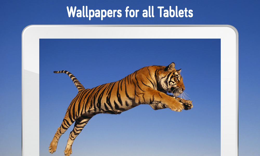 Tiger Wallpaper (4k) - Image screenshot of android app