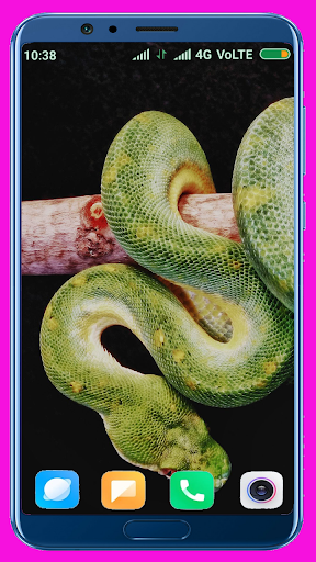 Snake HD Wallpaper - عکس برنامه موبایلی اندروید