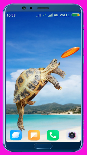 Tortoise HD Wallpaper - Image screenshot of android app