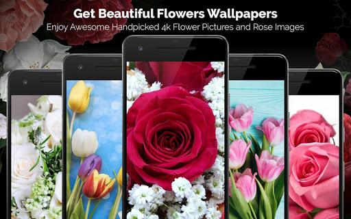 Rose Wallpaper, Floral, Flower background : Rosefy - Image screenshot of android app