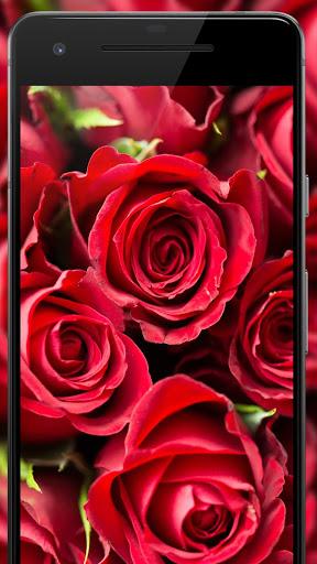 Cool 4k Wallpapers : WallFresh - Image screenshot of android app