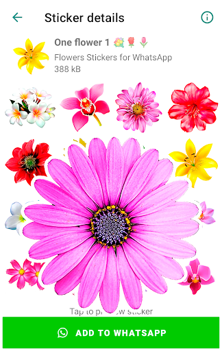 Flowers Stickers for WhatsApp - Image screenshot of android app