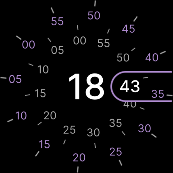 Concentric - Pixel Watch Face - عکس برنامه موبایلی اندروید