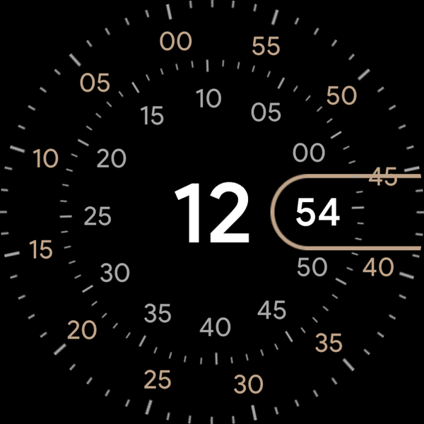 Concentric - Pixel Watch Face - عکس برنامه موبایلی اندروید