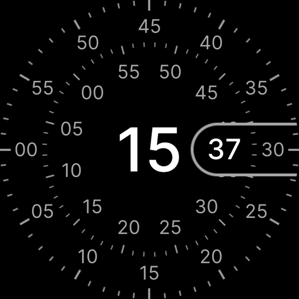 Concentric - Pixel Watch Face - عکس برنامه موبایلی اندروید