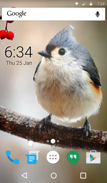 Bird Live Wallpaper + Keyboard - عکس برنامه موبایلی اندروید
