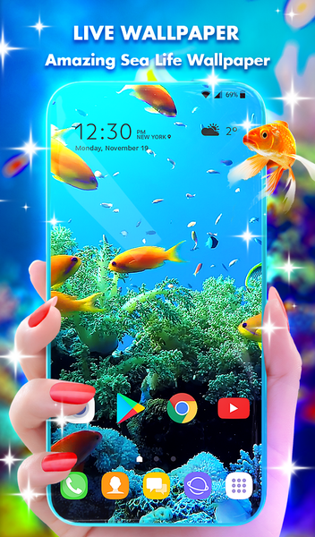 Coral Life Wallpaper HD Theme - عکس برنامه موبایلی اندروید