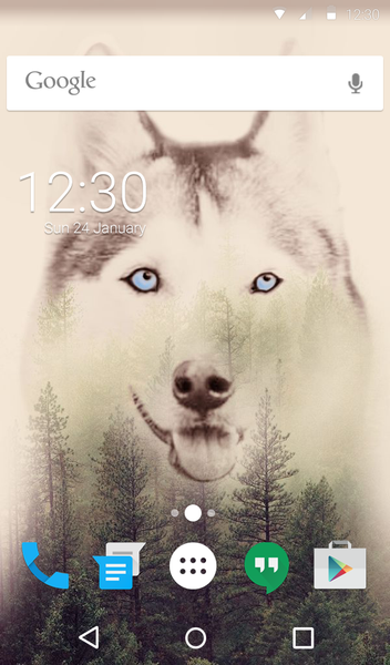 Cute Husky Wallpaper HD Theme - عکس برنامه موبایلی اندروید