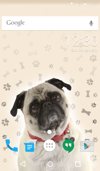 Cute Pug Keyboard Wallpaper HD - عکس برنامه موبایلی اندروید
