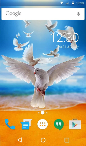 Doves Live Wallpaper Theme - عکس برنامه موبایلی اندروید