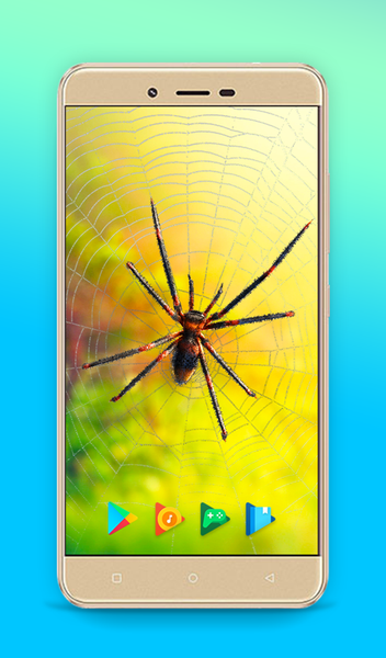 Spider Keyboard & Wallpaper - عکس برنامه موبایلی اندروید