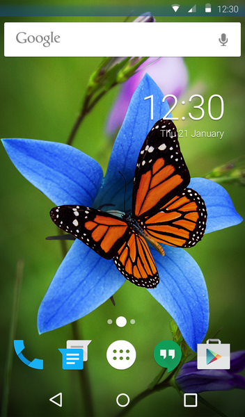Butterfly Live Wallpaper Theme - عکس برنامه موبایلی اندروید
