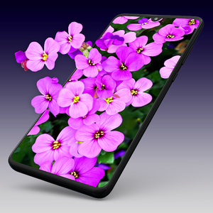 Wave Live Wallpapers Maker 3D for Android - Download | Cafe Bazaar Wave Live Wallpapers Maker 3D for Android - Download | Cafe Bazaar