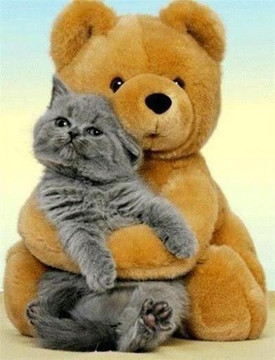 I need hugs - Image screenshot of android app