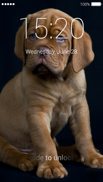 Cute Puppy Lock Screen - Image screenshot of android app