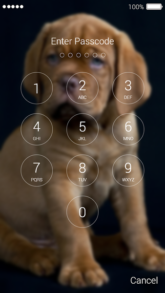 Cute Puppy Lock Screen - Image screenshot of android app