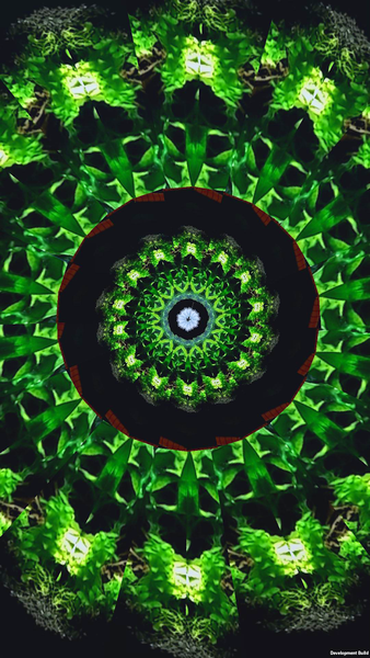KaleidoSnap: Kaleidoscope Cam - عکس برنامه موبایلی اندروید