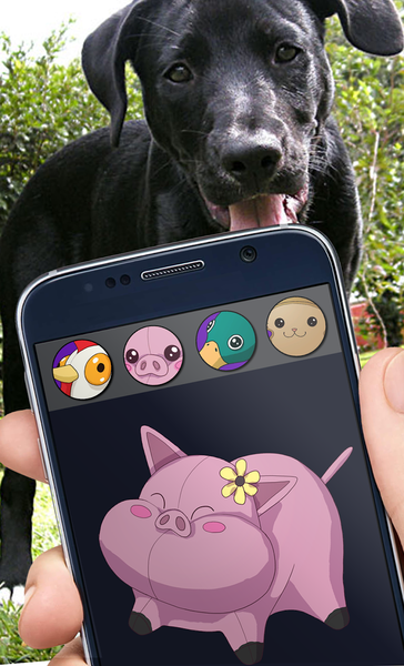 Dog Toy Squeaker Soundboard - Image screenshot of android app