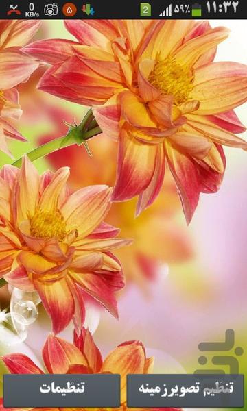 flower wallpaper hd - عکس برنامه موبایلی اندروید