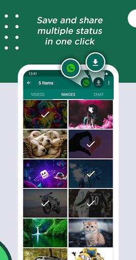 WhatsAssist: Status Saver App - عکس برنامه موبایلی اندروید