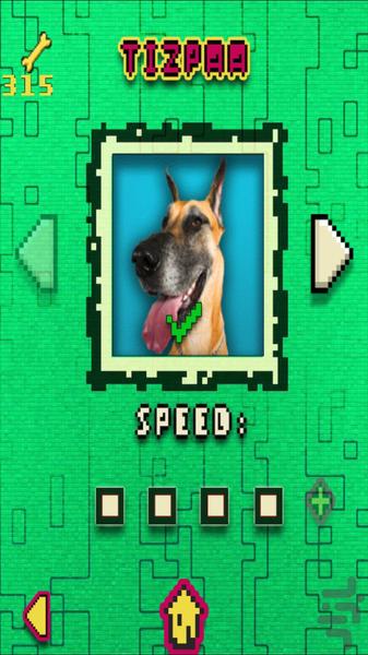What The Dog - Gameplay image of android game