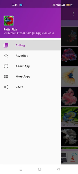 Betta Fish Wallpaper - Image screenshot of android app