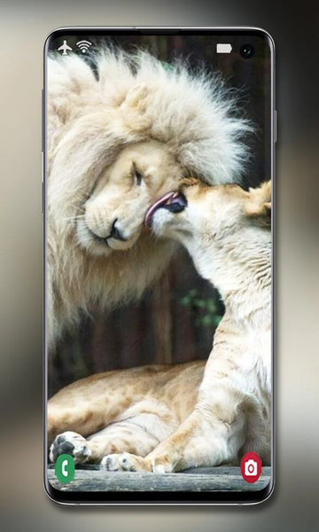 White Lion Wallpaper - Image screenshot of android app