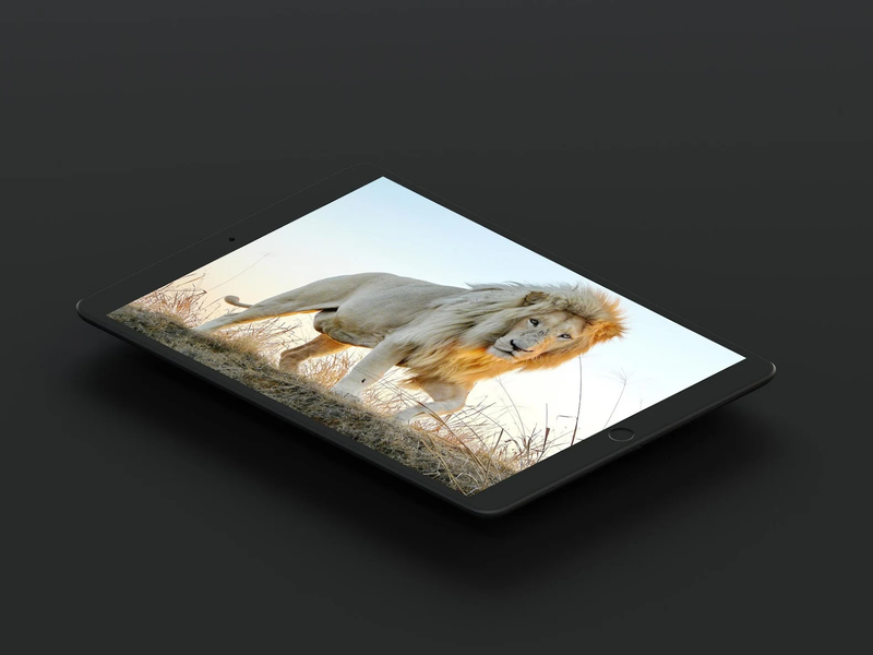 White Lion Wallpaper - Image screenshot of android app
