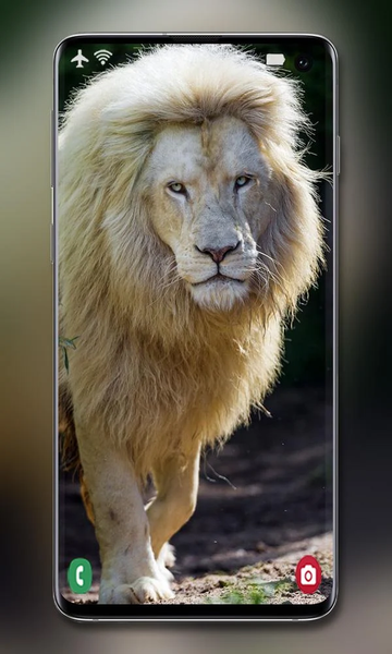 White Lion Wallpaper - Image screenshot of android app