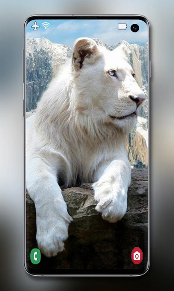 White Lion Wallpaper - Image screenshot of android app