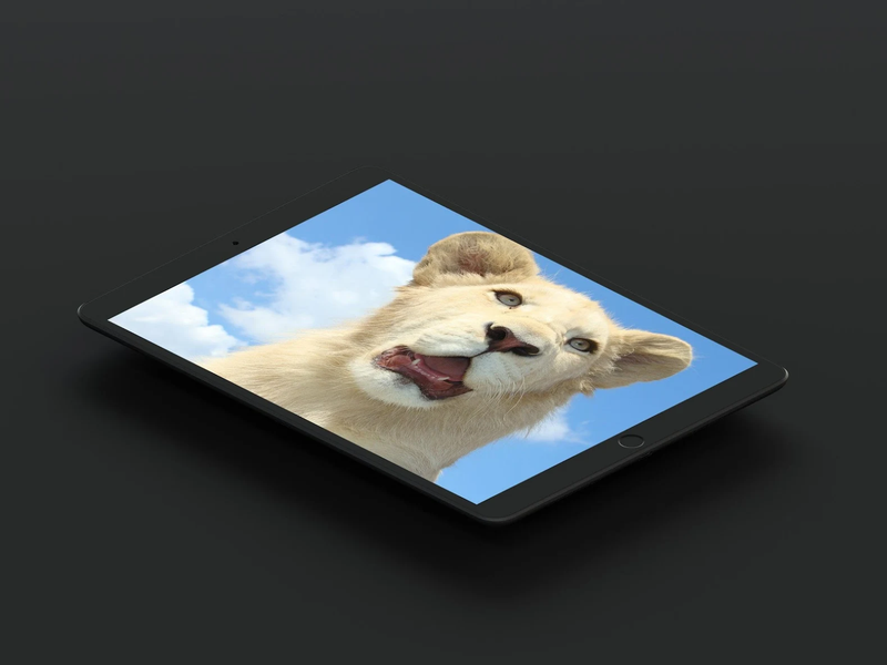 White Lion Wallpaper - Image screenshot of android app
