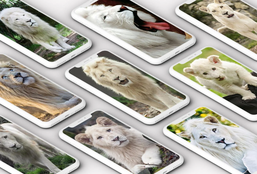 White Lion Wallpaper - Image screenshot of android app