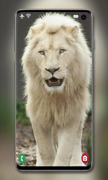 White Lion Wallpaper - Image screenshot of android app
