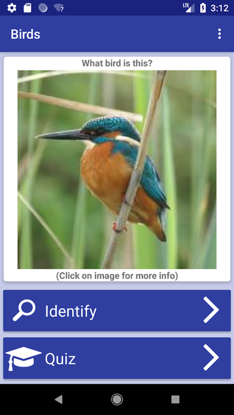 Bird Identifier - عکس برنامه موبایلی اندروید