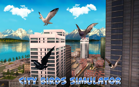 City Birds Simulator - Gameplay image of android game