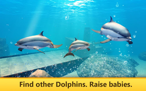 Dolphin Simulator::Appstore for Android