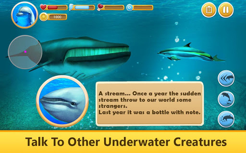 Dolphin, Hungry Shark Wiki