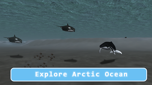 Orca Survival Simulator::Appstore for Android