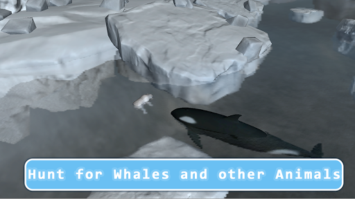 Killer Whale Orca Simulator - Gameplay image of android game